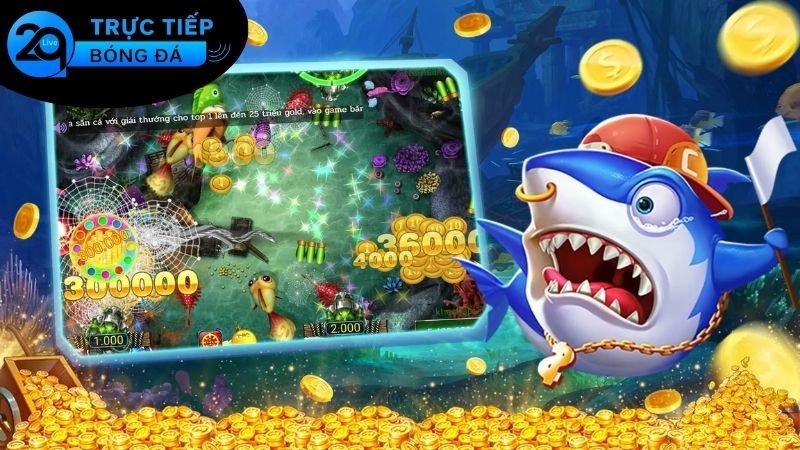 Hướng dẫn cài đặt app 2Q