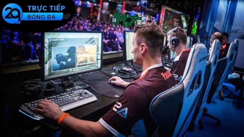 Cá cược eSports 2Q hấp dẫn