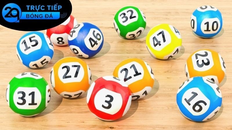 Tra cứu nhanh tại 2Q