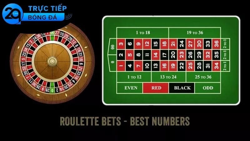 Kinh nghiệm cược roulette hiệu quả