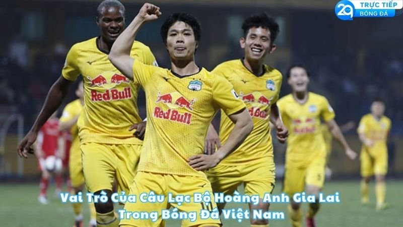 vai-tro-cua-cau-lac-bo-hoang-anh-gia-lai-trong-bong-da-viet-nam