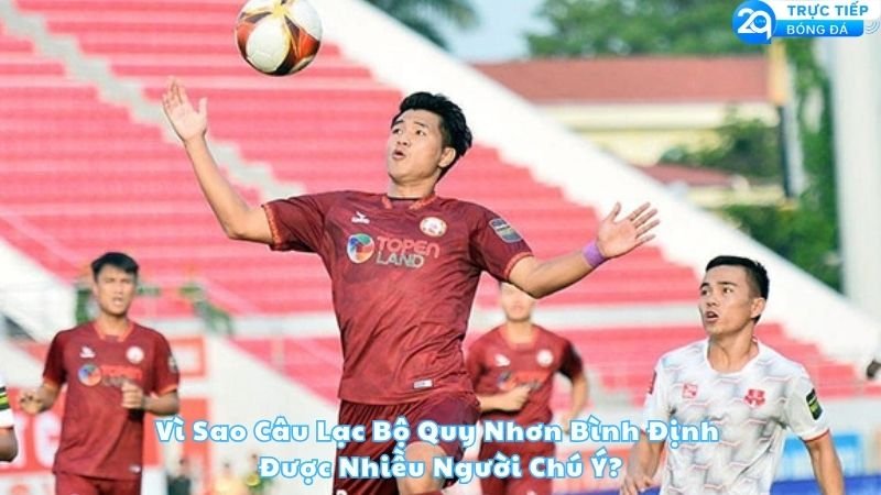 vi-sao-cau-lac-bo-quy-nhon-binh-dinh-duoc-nhieu-nguoi-chu-y