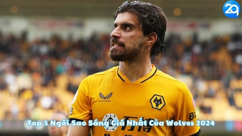 top-5-ngoi-sao-sang-gia-nhat-cua-wolves-2024