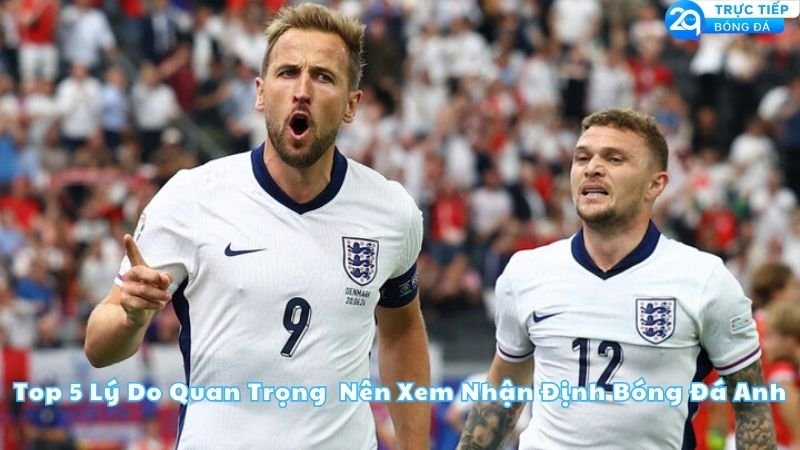 top-5-ly-do-quan-trong-nen-xem-nhan-dinh-bong-da-anh