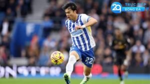 nhan-dinh-soi-keo-brighton-vs-southampton-ngoai-hang-anh