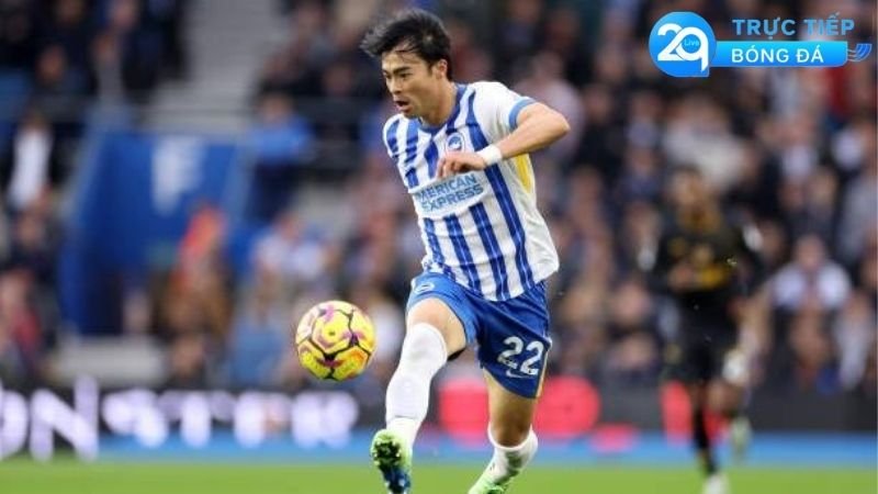 nhan-dinh-soi-keo-brighton-vs-southampton-ngoai-hang-anh