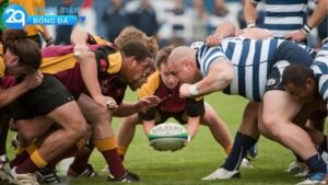 rugby-2qlive