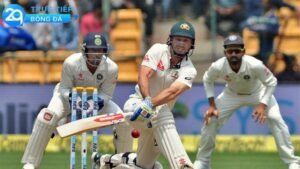 cricket-2qlive