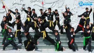 vo-co-truyen-viet-nam-2qlive
