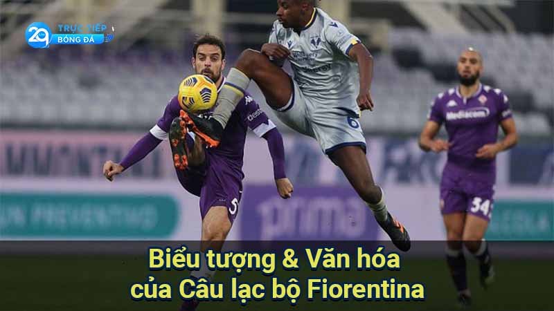 cau-lac-bo-Fiorentina