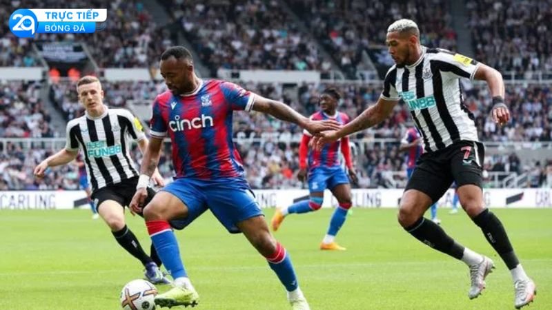 nhan-dinh-tran-crystal-palace-va-newcastle-1
