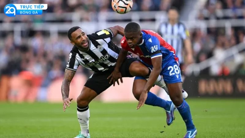 nhan-dinh-tran-crystal-palace-va-newcastle-2