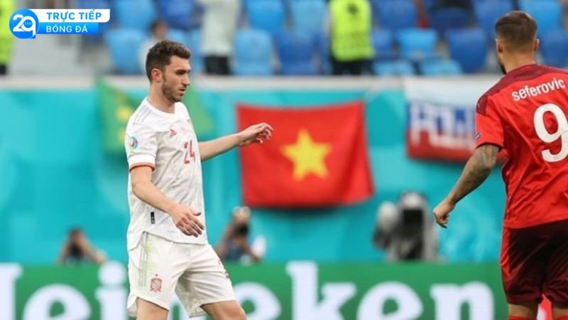 nhan-dinh-tran-tay-ban-nha-va-thuy-si-1