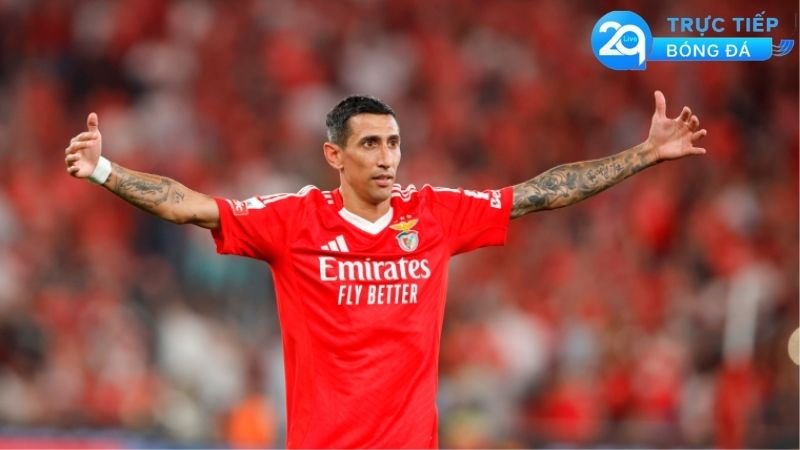 nhan-dinh-soi-keo-benfica-vs-bologna-champions-league