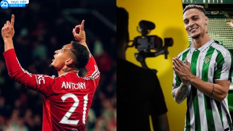 antony-2