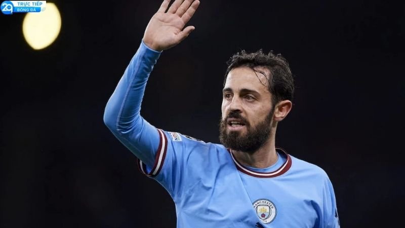 bernardo-silva-roi-man-city