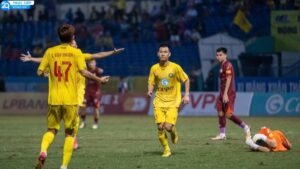 binh-dinh-giu-hoa-thanh-hoa